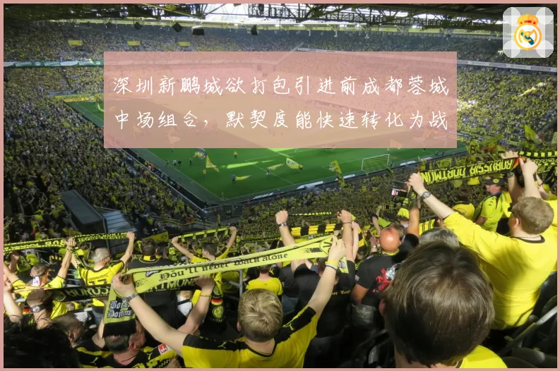 深圳新鹏城欲打包引进前成都蓉城中场组合,默契度能快速转化为战力吗?